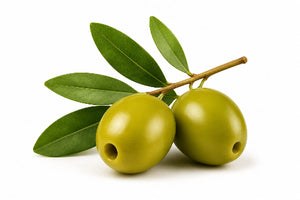 Olive Oil