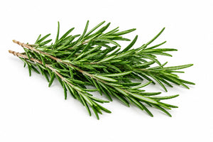 Rosemary